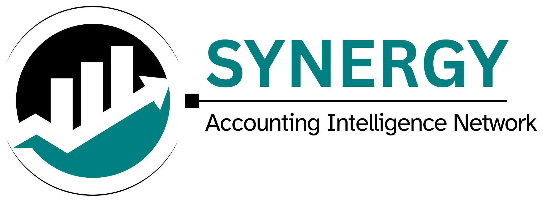 Synergy Accounting