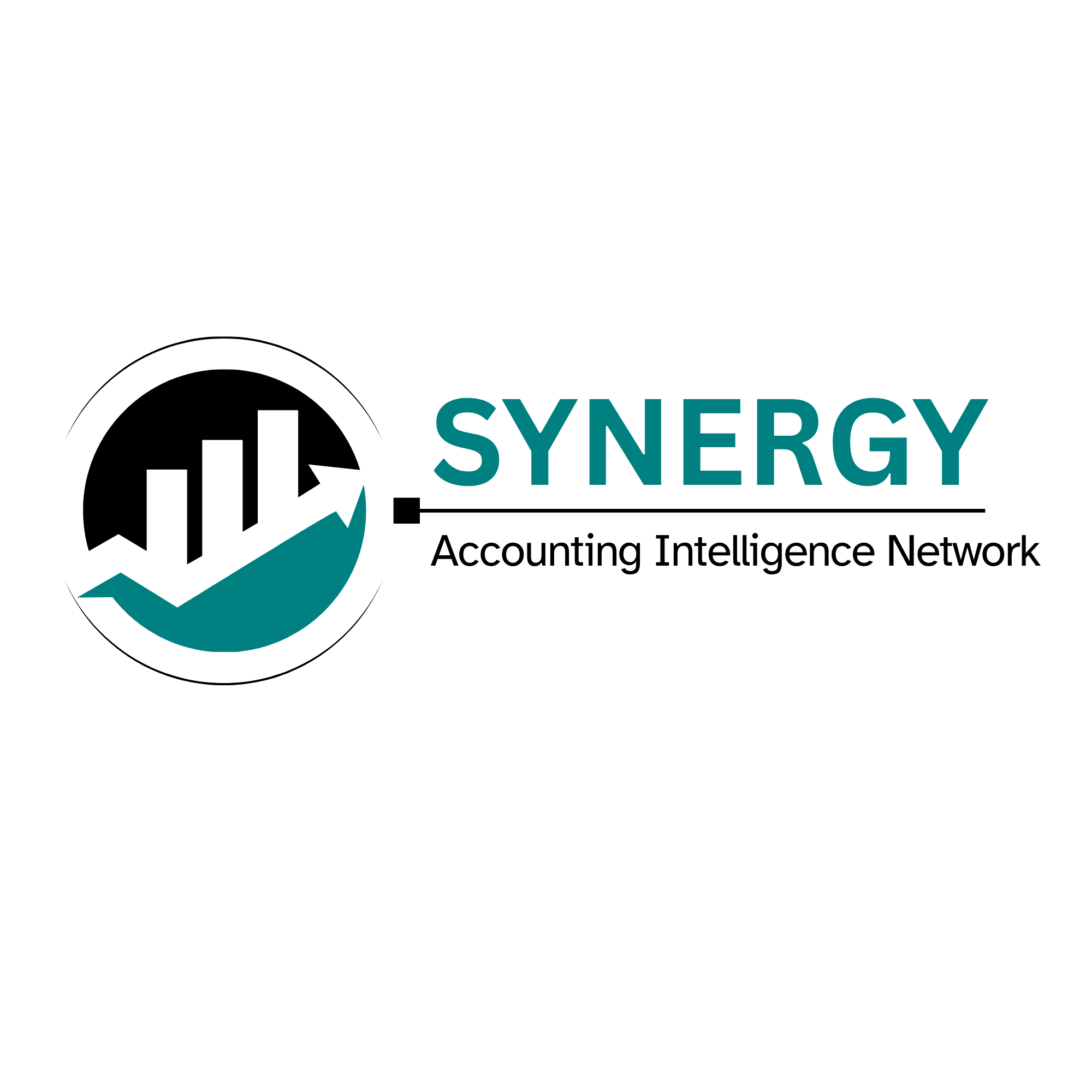 Synergy Accounting